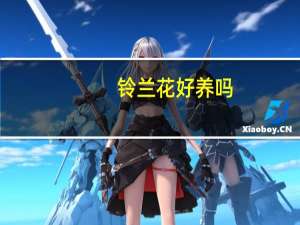 铃兰花好养吗