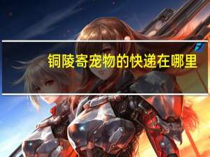 铜陵寄宠物的快递在哪里