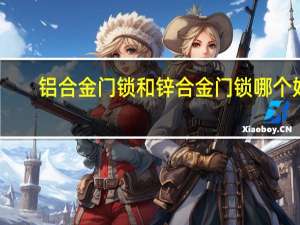 铝合金门锁和锌合金门锁哪个好