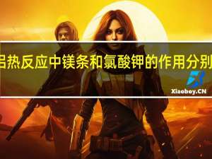 铝热反应中镁条和氯酸钾的作用分别是什么（铝热反应中镁条和氯酸钾的作用）