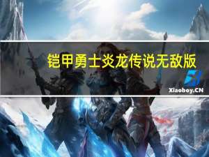 铠甲勇士炎龙传说无敌版（铠甲勇士激斗传炎龙登场无敌版作弊码）
