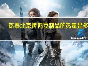 铭泰 北京烤鸭豆制品的热量是多少