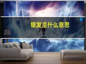 银发是什么意思