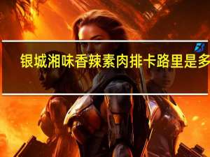 银城湘味 香辣素肉排卡路里是多少