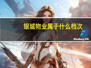 银城物业属于什么档次