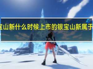银宝山新什么时候上市的银宝山新属于什么行业