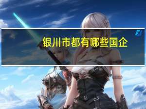 银川市都有哪些国企