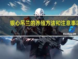银心吊兰的养殖方法和注意事项