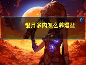 银月多肉怎么养爆盆