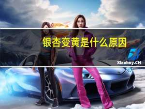 银杏变黄是什么原因