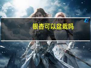银杏可以盆栽吗