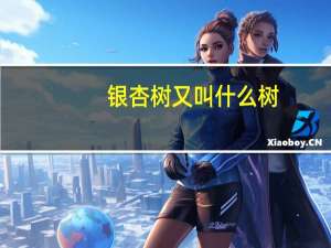 银杏树又叫什么树