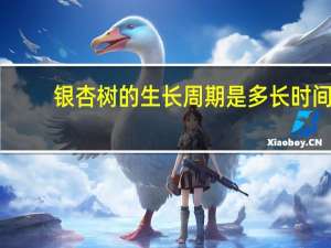 银杏树的生长周期是多长时间