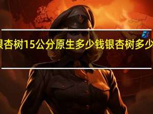 银杏树15公分原生多少钱 银杏树多少钱一棵