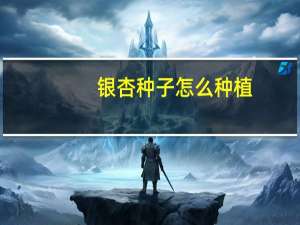 银杏种子怎么种植
