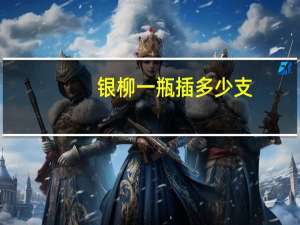 银柳一瓶插多少支