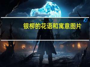 银柳的花语和寓意图片（银柳的花语）