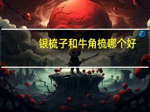 银梳子和牛角梳哪个好