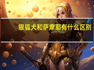 银狐犬和萨摩耶有什么区别