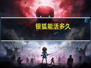 银狐能活多久