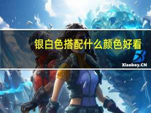银白色搭配什么颜色好看