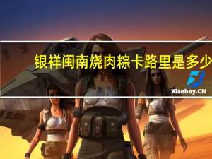 银祥 闽南烧肉粽卡路里是多少