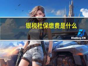 银税社保缴费是什么