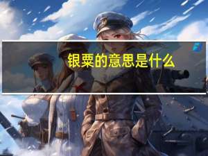 银粟的意思是什么