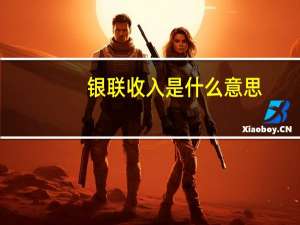 银联收入是什么意思