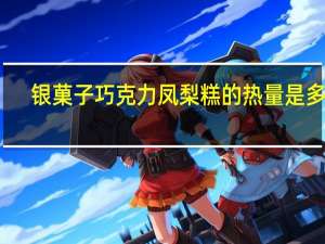 银菓子 巧克力凤梨糕的热量是多少