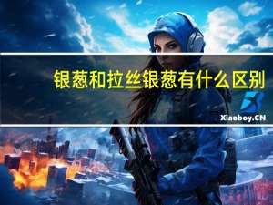 银葱和拉丝银葱有什么区别