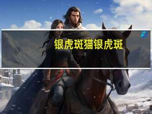 银虎斑猫 银虎斑