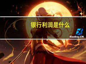 银行利润是什么