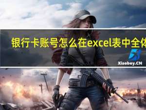 银行卡账号怎么在excel表中全体现（银行卡账号怎么查询）