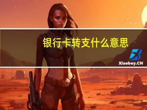 银行卡转支什么意思