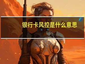 银行卡风控是什么意思
