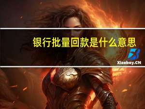 银行批量回款是什么意思
