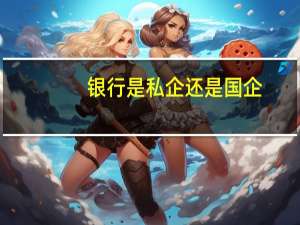 银行是私企还是国企