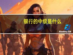 银行的中级是什么