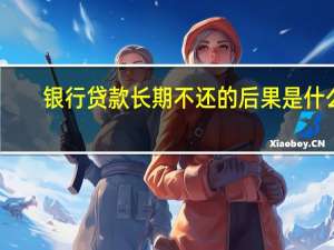 银行贷款长期不还的后果是什么