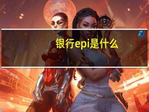 银行epi是什么