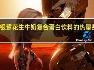 银鹭 花生牛奶复合蛋白饮料的热量是多少