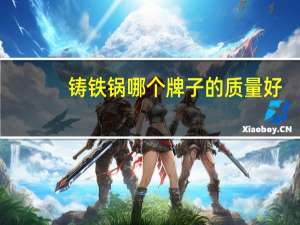 铸铁锅哪个牌子的质量好（铸铁锅哪个牌子好）