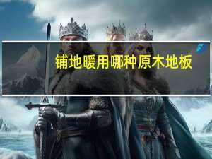 铺地暖用哪种原木地板