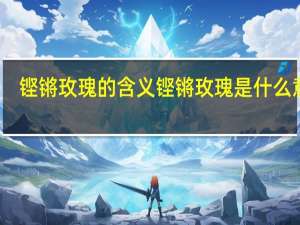 铿锵玫瑰的含义 铿锵玫瑰是什么意思