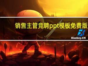 销售主管竞聘ppt模板 免费版（销售主管竞聘ppt模板 免费版功能简介）