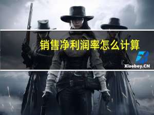 销售净利润率怎么计算