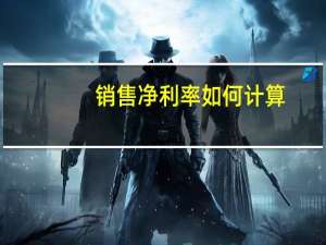 销售净利率如何计算