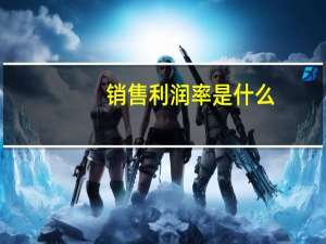销售利润率是什么