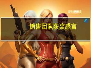 销售团队获奖感言